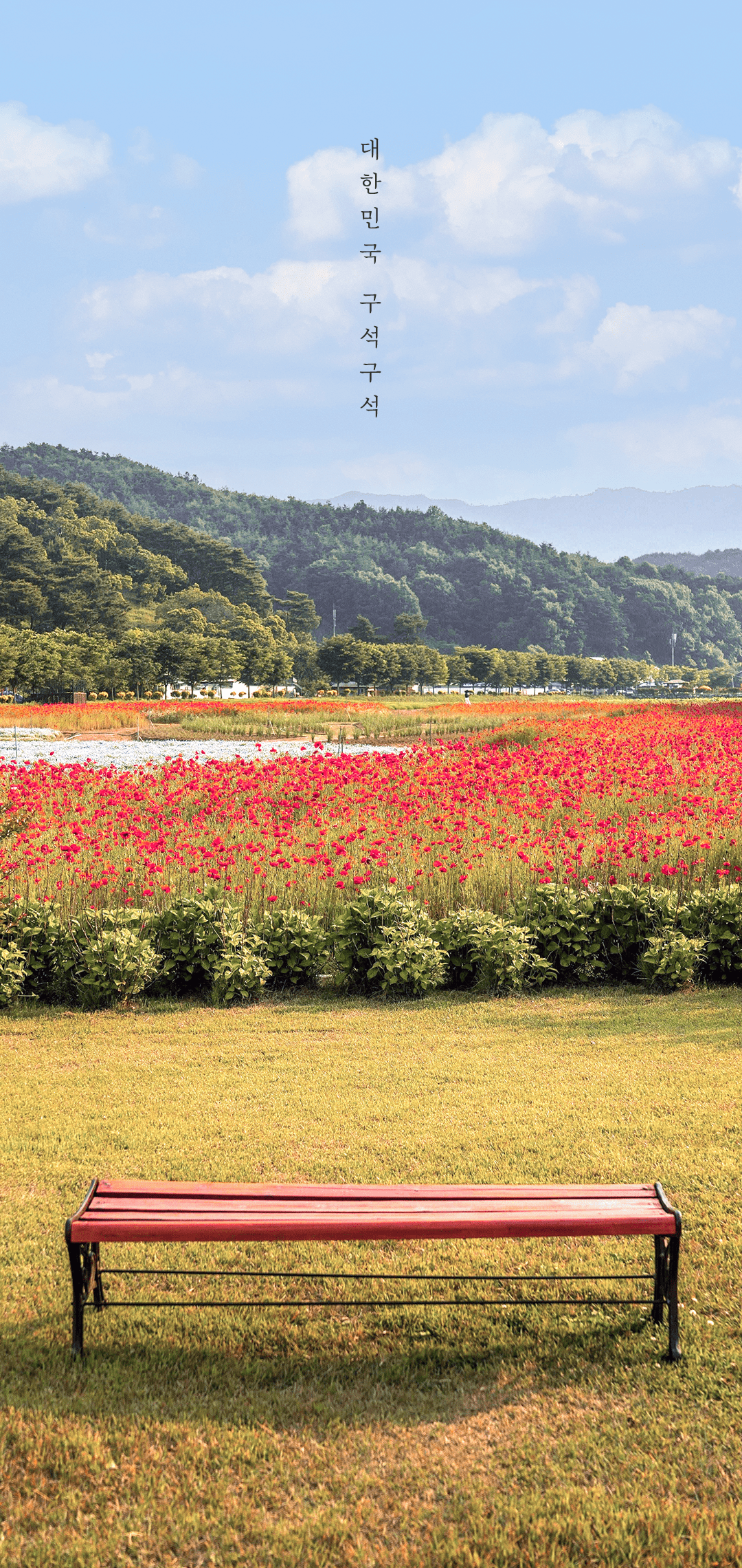 한국관광공사 공식 11월 월페이퍼 안드로이드 버전 | 인스티즈
