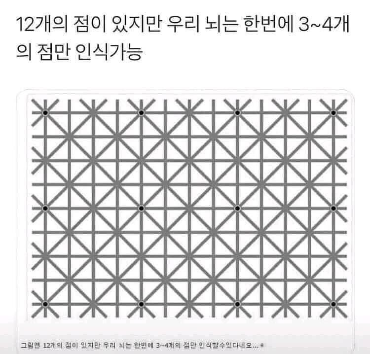 뇌정지 오는 짤 | 인스티즈