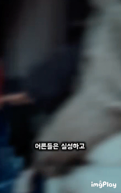 후룸라이드 기능도 있는 한강버스 | 인스티즈