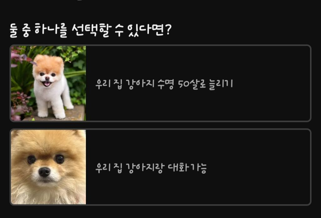 강아지 키우는 탁서기준 둘중 하나를 선택할 수 있다면? | 인스티즈