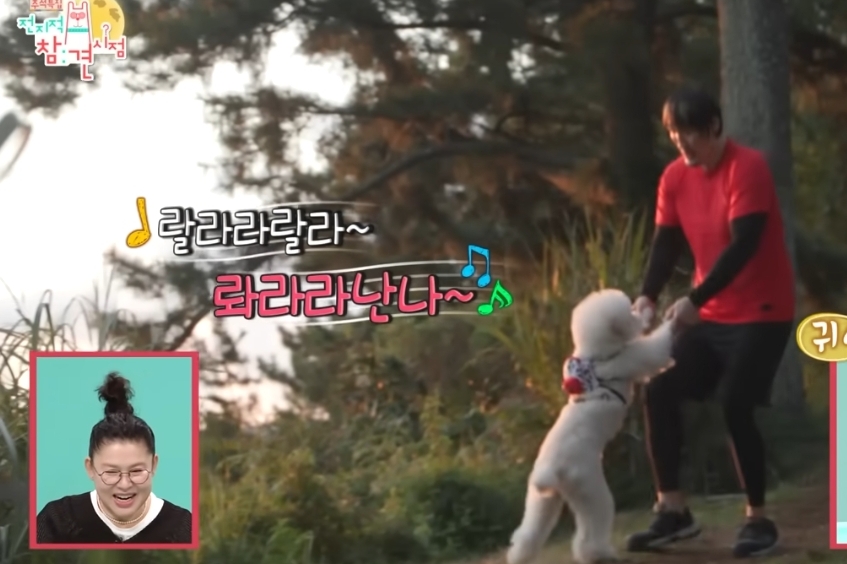 키 2미터 넘는 연예인들이 키우는 강아지...jpg | 인스티즈