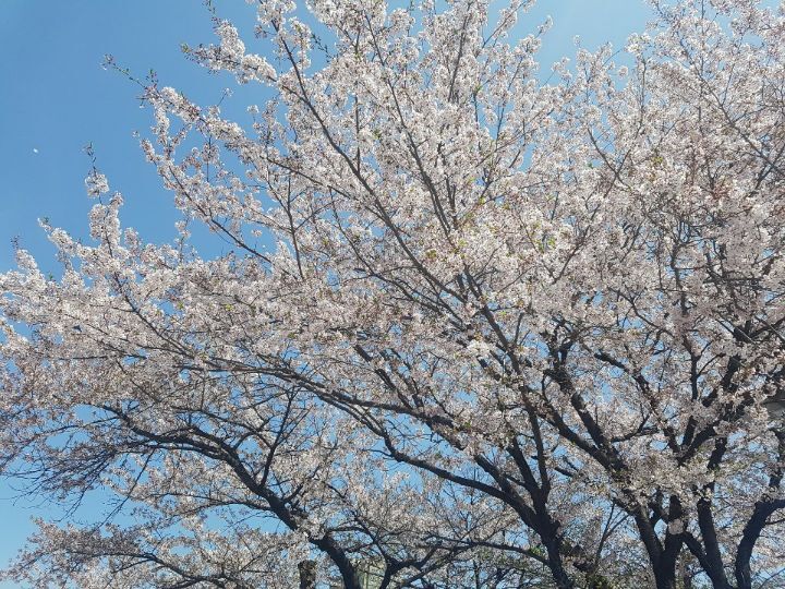 방황하는 사람들에게 | 인스티즈