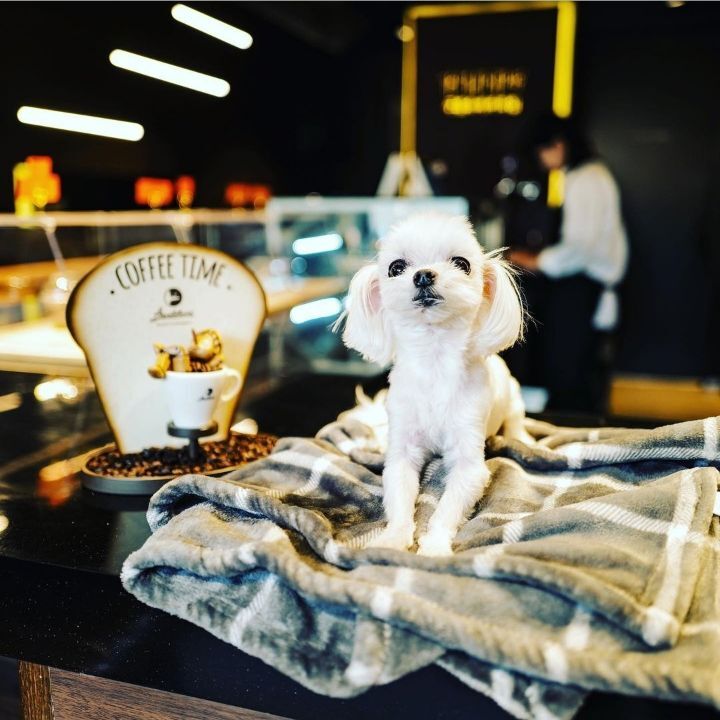 f333aa9b9dccba231e33f3419697dd12180e90d3