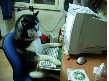 f37282ceee47249b8dfd7d05d88f6e0e2d03e4f4