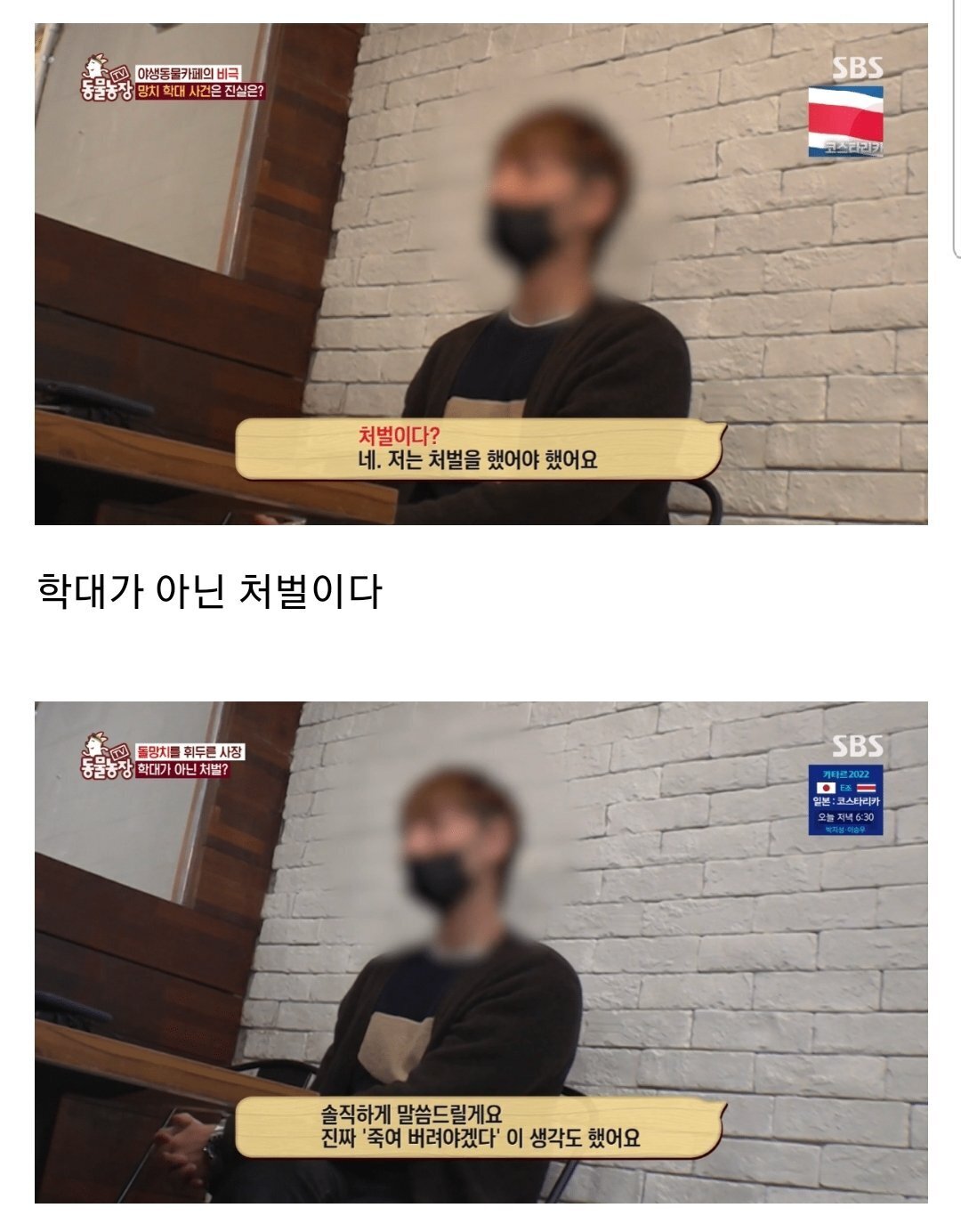 현재 난리난 동물농장에 나온 동물카페 사장.jpg | 인스티즈