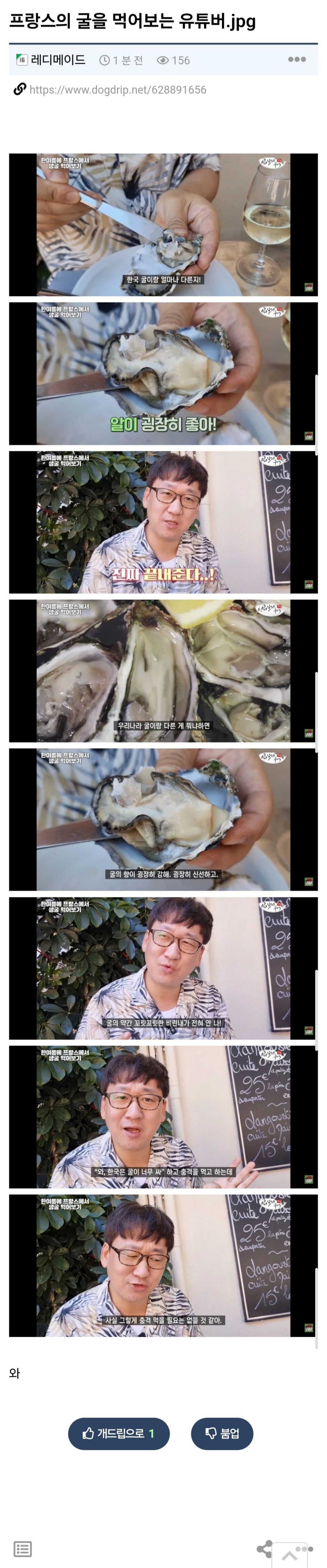 프랑스의 굴을 먹어보는 유튜버.jpg | 인스티즈