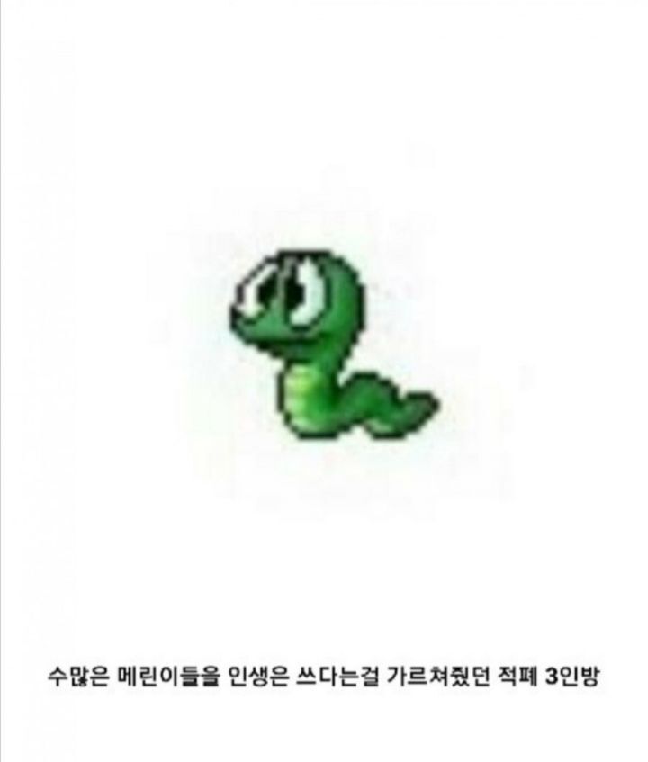 모두가 그리워하는 추억의 그 시절 옛날 메이플스토리 | 인스티즈