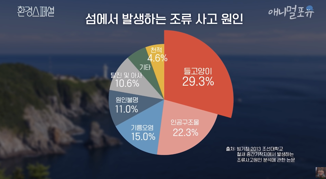 일부 몰지각한 캣맘들은 이 악물고 모른척하는 내용.jpg | 인스티즈
