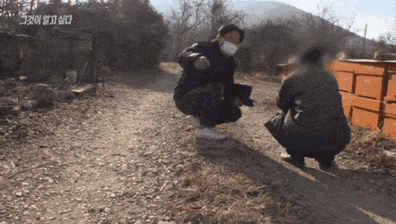 그알pd 인터뷰 중 난입한 댕댕이.gif | 인스티즈