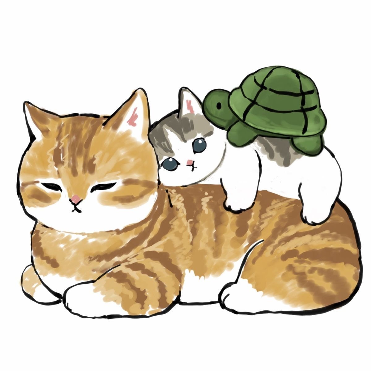 세상에서 고양이 제일 귀엽게 그리는 일러스트레이터 | 인스티즈