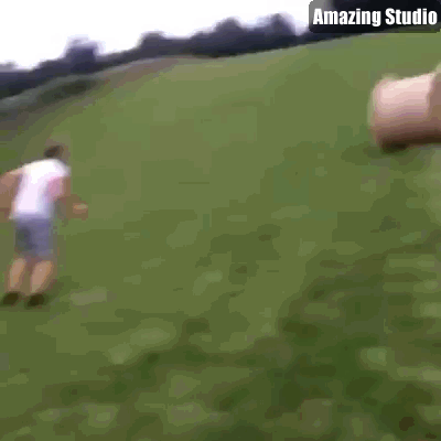 완전 바보같은 생각이네 당장하자!!.gif | 인스티즈