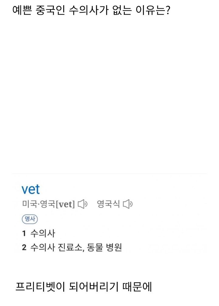 중국에 미인 수의사가 없는 이유 | 인스티즈