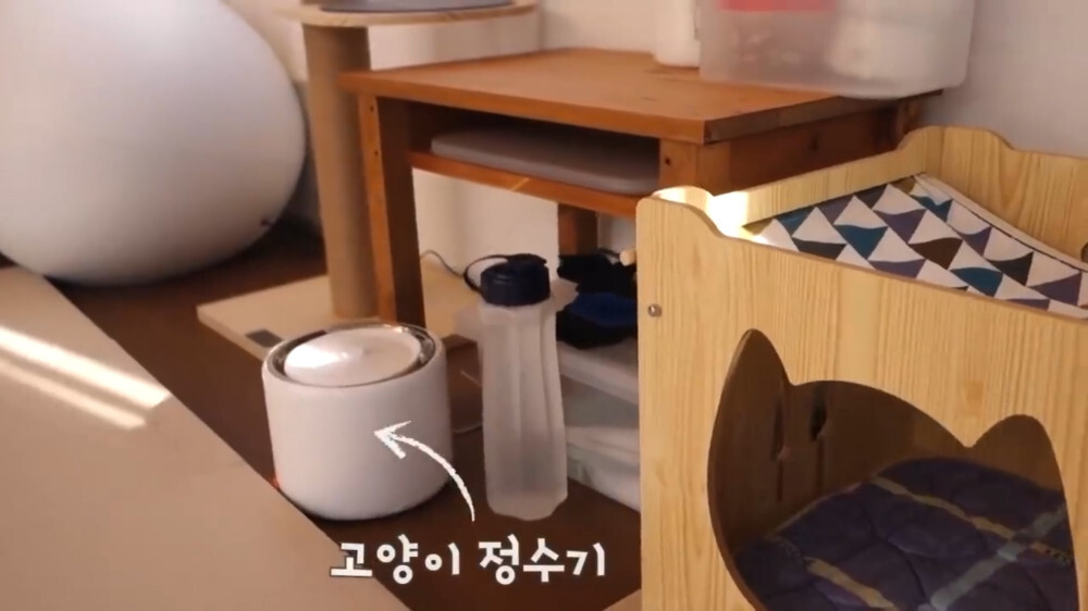 [스압주의] 일본인 캣맘 유튜버 2편 - 3천만원짜리 고양이 집 지음 | 인스티즈