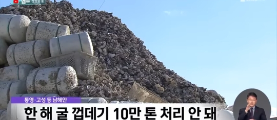 버려지는 굴껍데기로 신규 블록 제조한 한국 기업 | 인스티즈