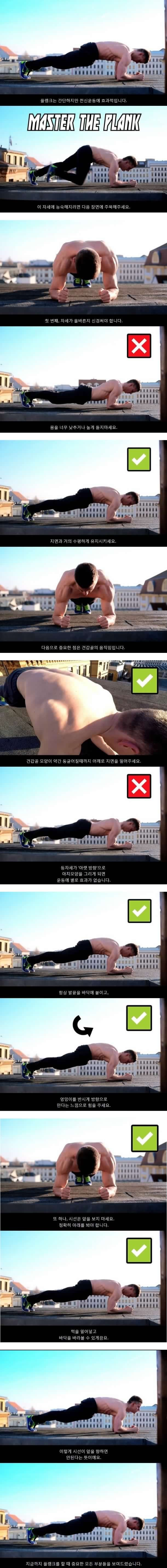 플랭크자세 똑바로 하는 Tip | 인스티즈