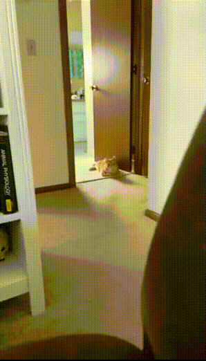 공포영화 클리셰 | 인스티즈