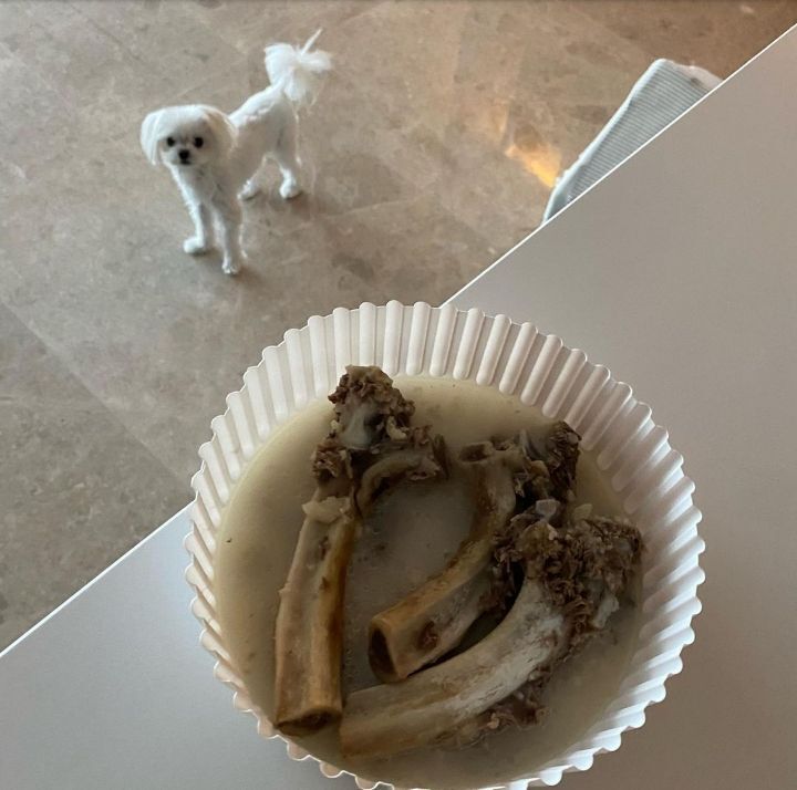 f537c0ae33931088b02906aa87240885fb5743dc