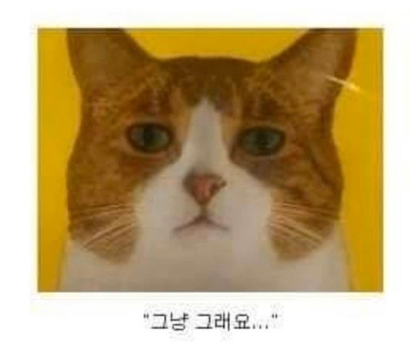 포장디자인의 중요성 | 인스티즈