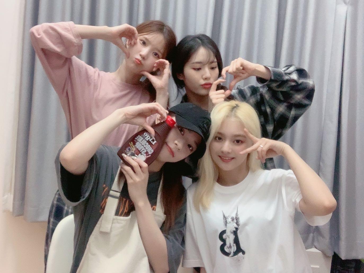 V라이브 채널에 올라온 프로미스나인 총 정리 2탄 | 인스티즈