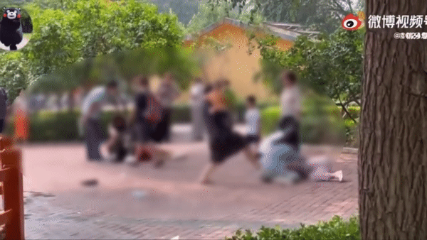 동물원에서 가족끼리 패싸움.gif | 인스티즈