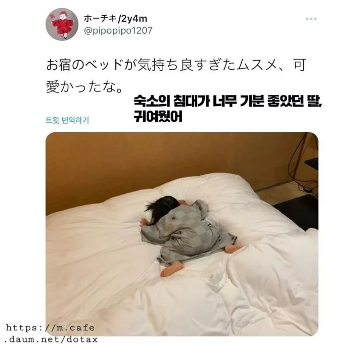 숙소의 침대가 너무 기분 좋았던 딸 | 인스티즈