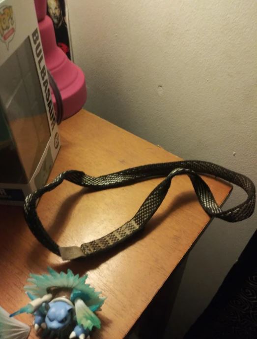 레딧의 질문 답변 페이지 8탄 | 인스티즈