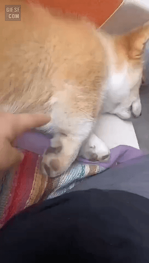 자는데 귀찮게 하기 | 인스티즈