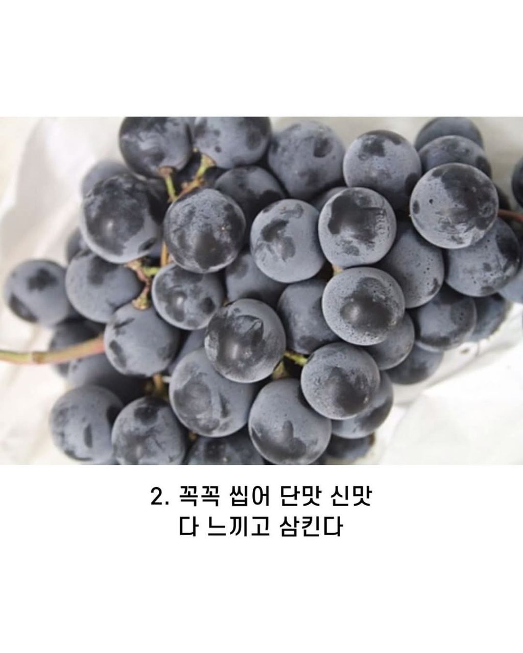 나의 포도 먹는 방법은? | 인스티즈