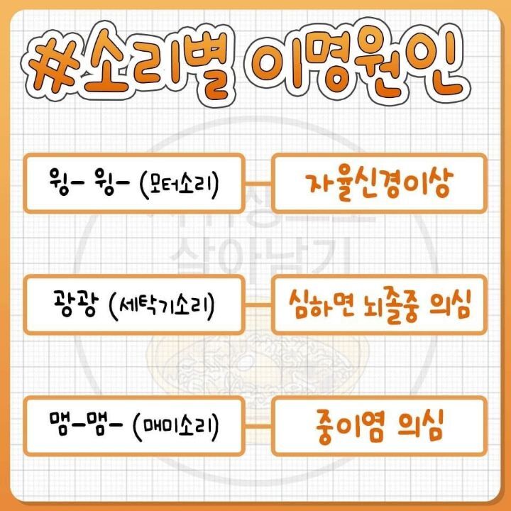 귀에서 나는 소리별 이명 원인.JPG | 인스티즈