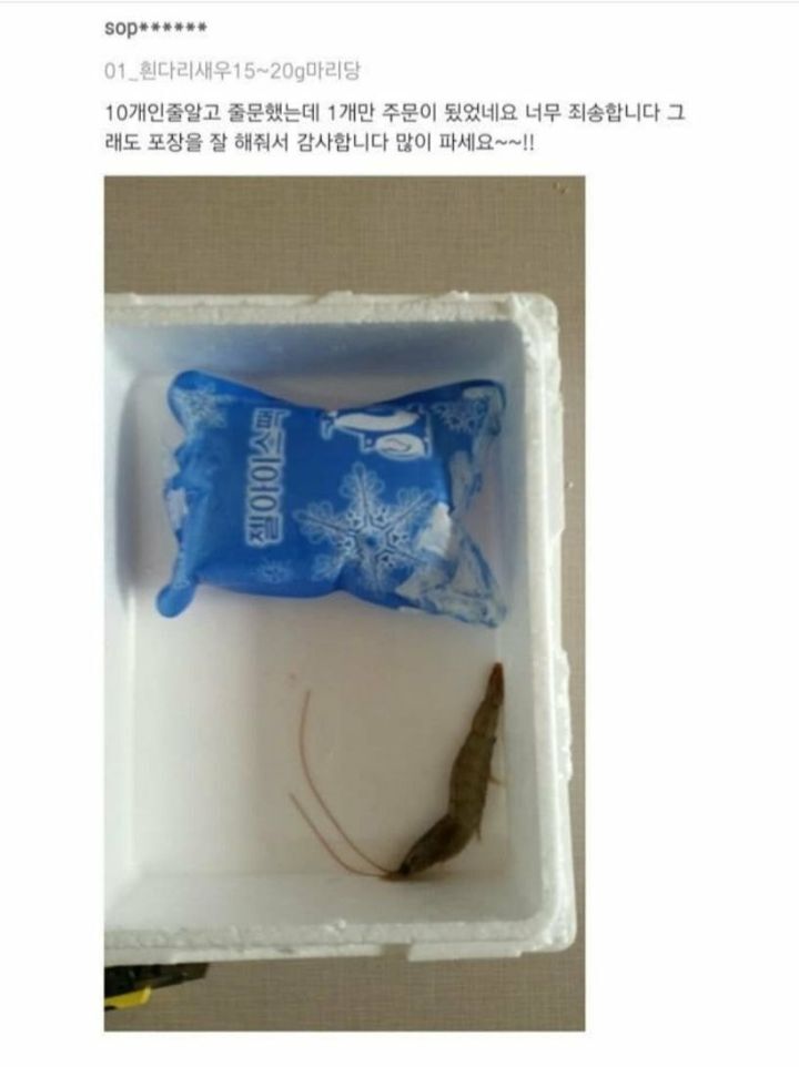 어깨가 평양이세요 | 인스티즈
