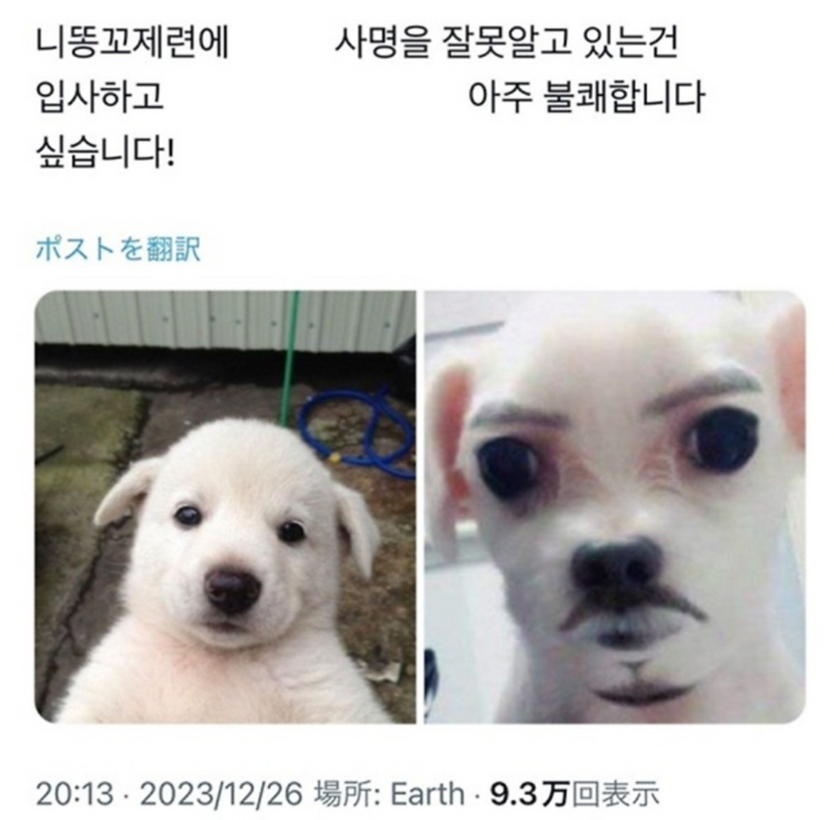 사명을 잘못말해서 면접에 떨어졌다 | 인스티즈