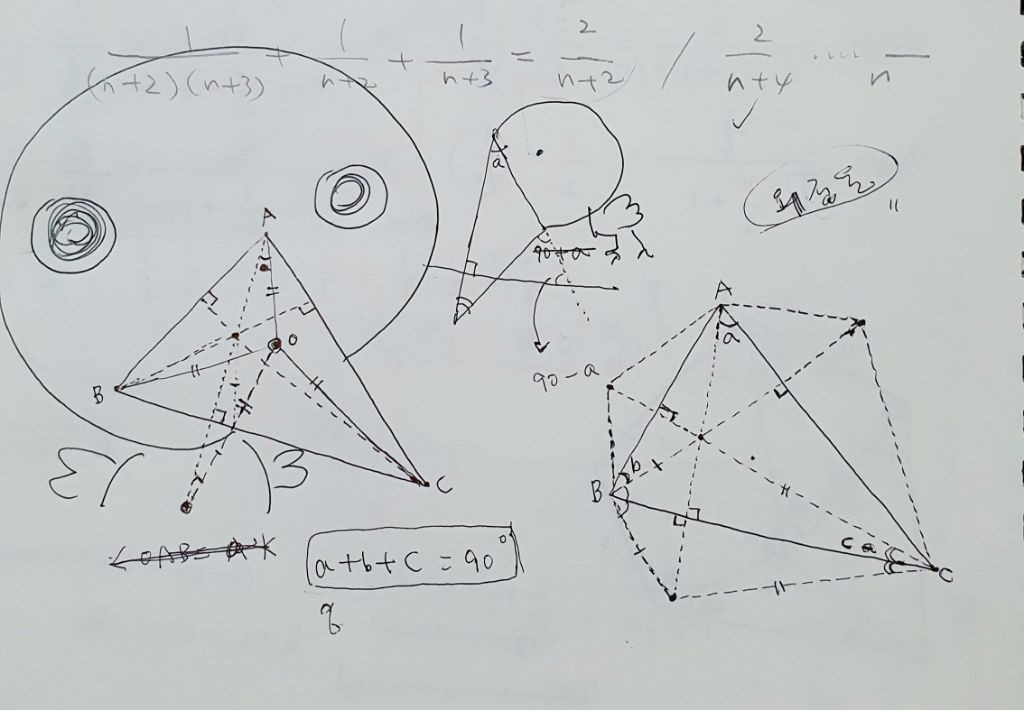 남편 취미가 수학문제 풀기인데.jpg | 인스티즈