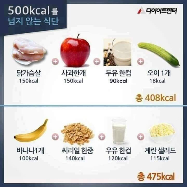 500칼로리를 넘지 않는다는 식단 | 인스티즈