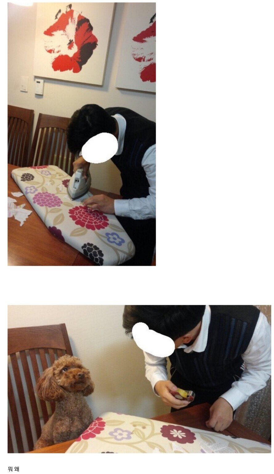 아버지가 목사인데 우리집 개가 성경책 찢어먹음.JPG | 인스티즈