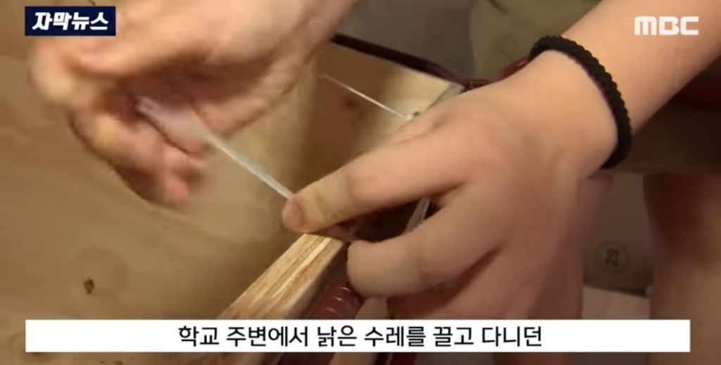 청주여자상업고등학교 이미지
