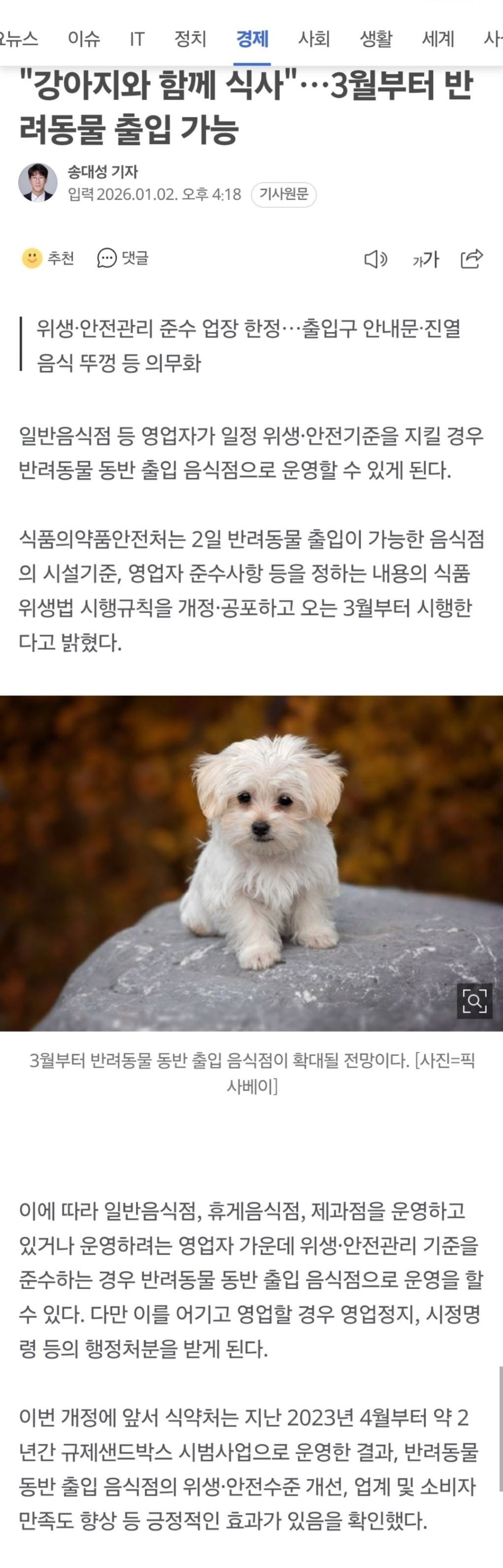 "강아지와 함께 식사"..3월부터 반려동물 출입 가능 | 인스티즈