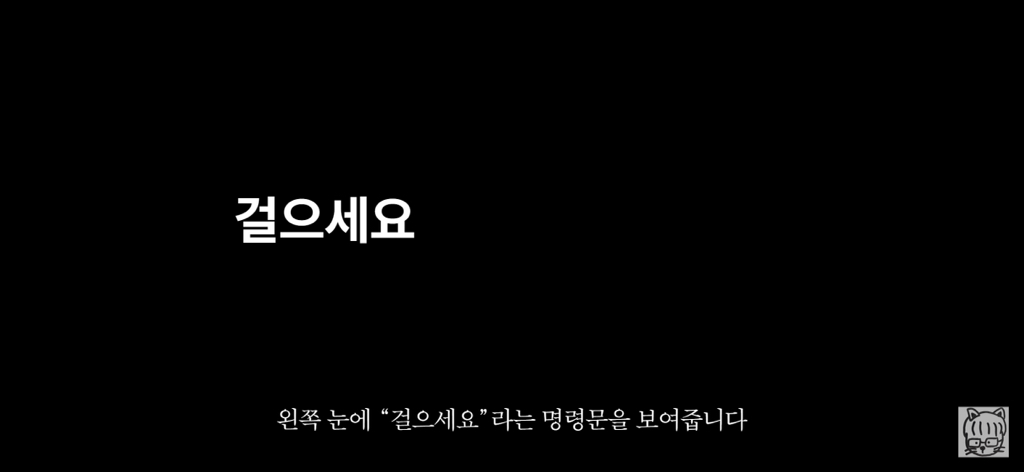 (스압)분리 뇌 실험 | 인스티즈