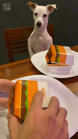 사기는 돈 아깝지만 다 사용후 만족감 높은 제품 | 인스티즈