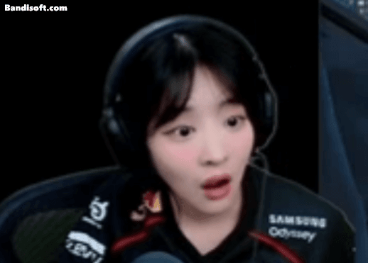 스트리머로 알아보는 롤의 위험성 gif | 인스티즈