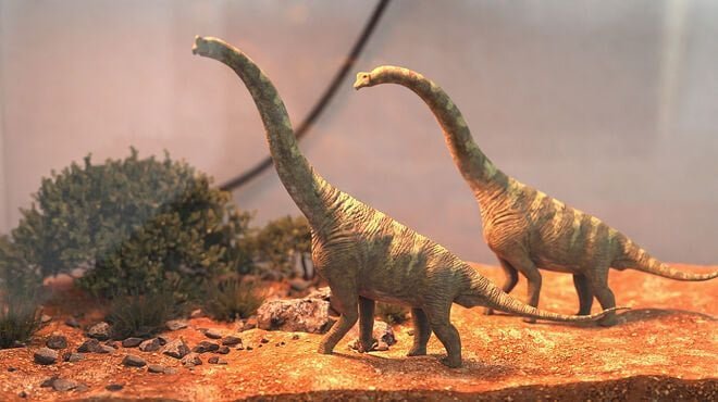 요즘 유행한다는 애완동물.jpg | 인스티즈