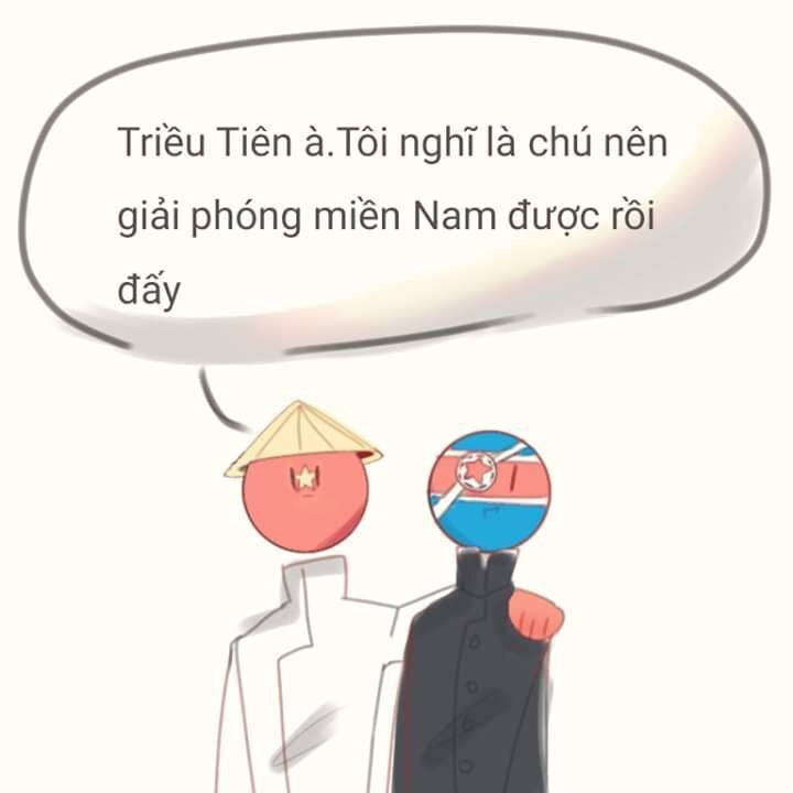 그디어 미쳐버린 베트남 국뽕 | 인스티즈