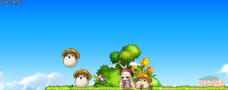 메이플스토리 데미지 스킨 모음 | 인스티즈