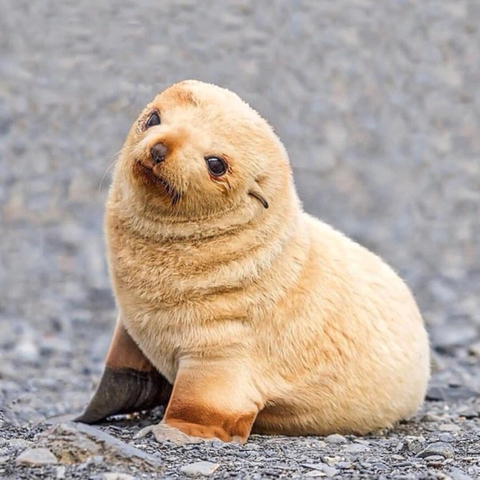 f89b11ef02576af526910bae6214a287905313cc