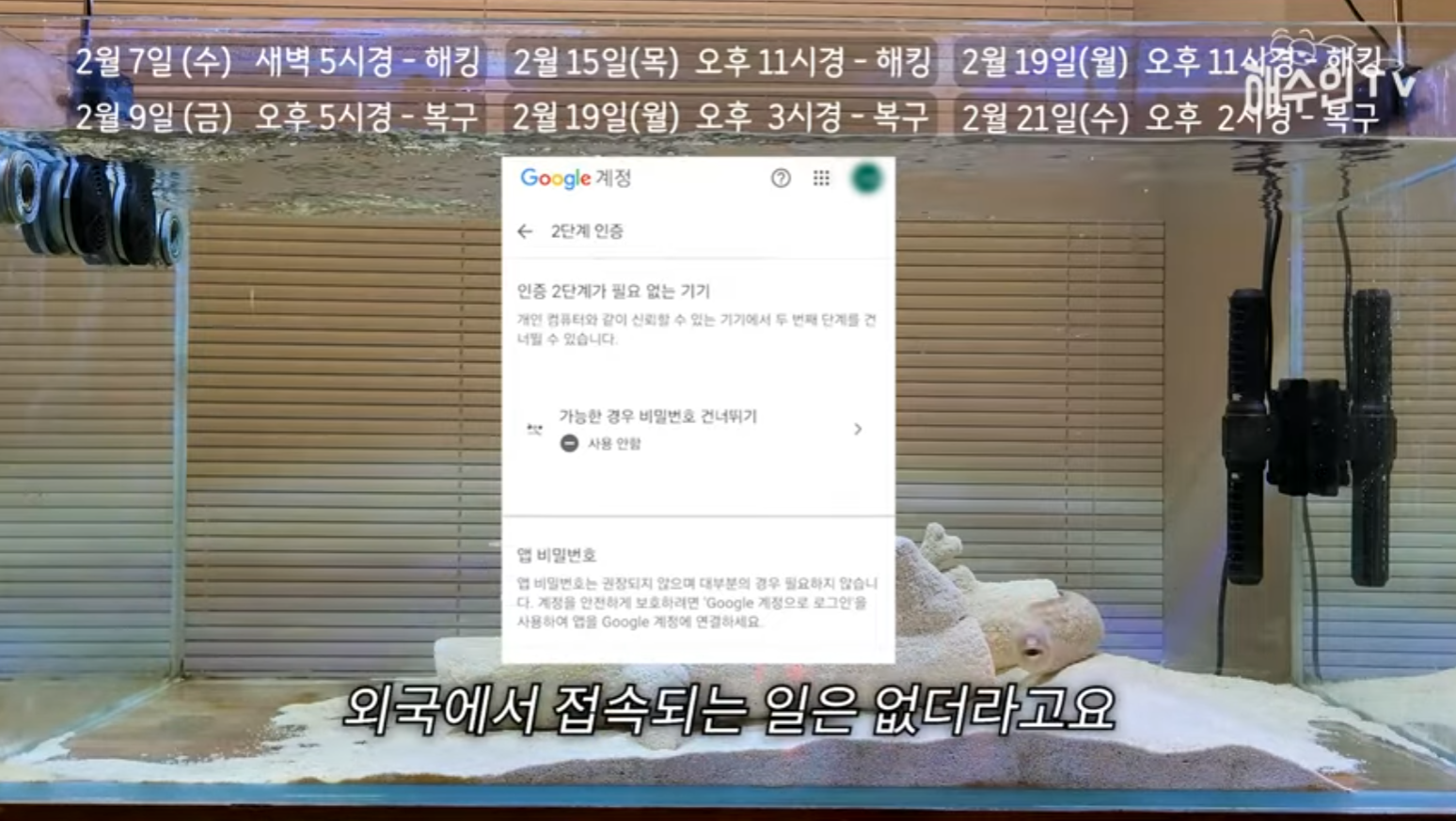 유튜브 계정이 3번이나 해킹 당한 이유 | 인스티즈