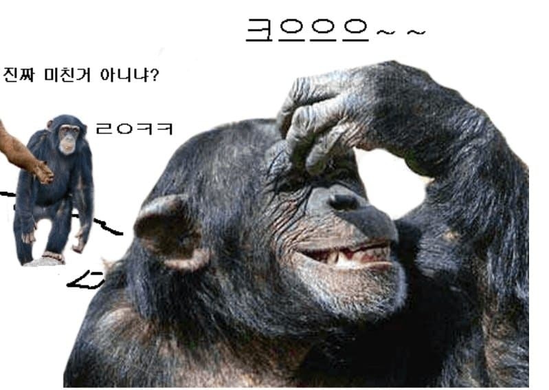 딸 키우는 집에 강아지 키우면 생기는 일 | 인스티즈