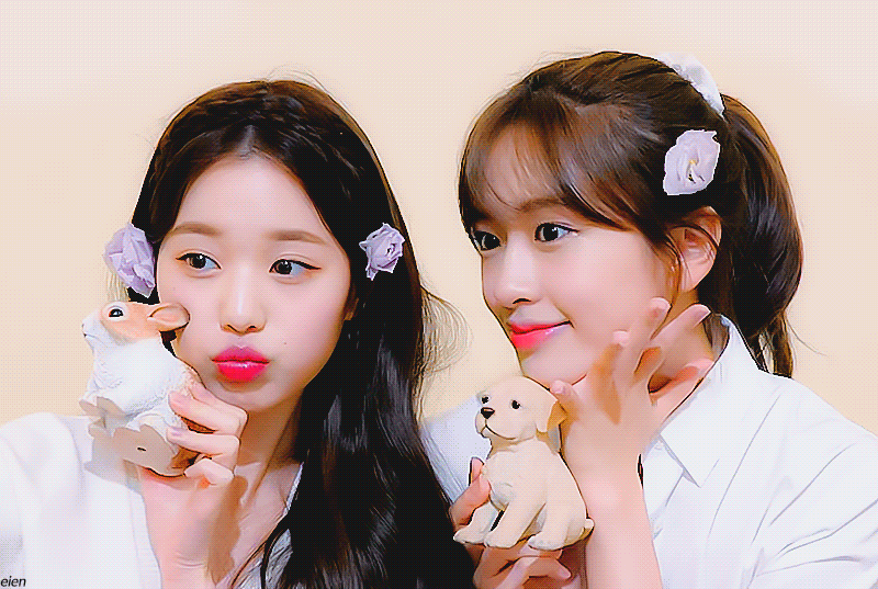 데뷔 이후 햇수로 5년 만에 처음으로 자컨나온 아이브 안녕즈 안유진 장원영.gif | 인스티즈