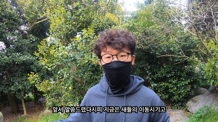 [사진100장스압] 고양이가 자연생태계에 끼치는 심각한 영향 | 인스티즈