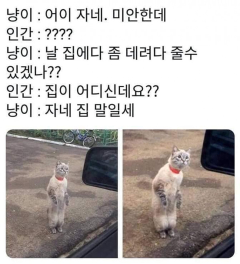 어이 자네! | 인스티즈