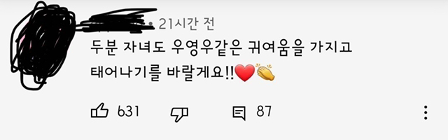 우영우 따라하는 유튜버들한테 달리는 댓글수준.jpg | 인스티즈