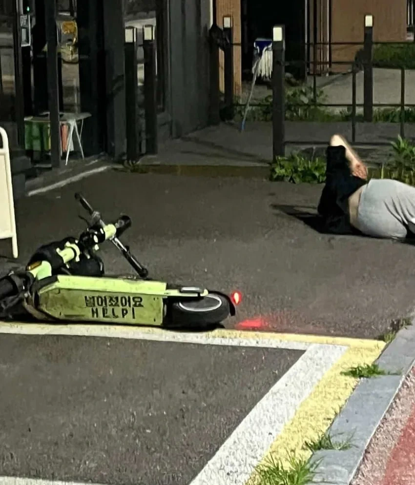 벌써 나온거 같다는 2026년 퓰리처상 수상작.JPG | 인스티즈